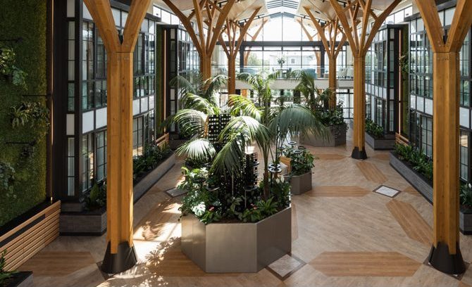 Elegant interior featuring large pillars, glass windows and large ferns